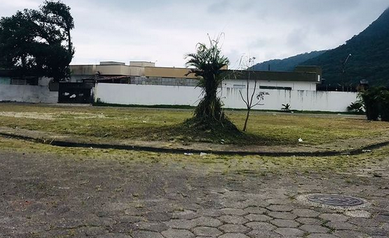 TRABALHO DE ZELADORIA ACONTECE NO JARDIM VENEZA